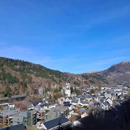 Mont-dore, 2 Pièces, 5 Personnes - Fr-1-415-81