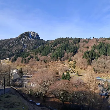 Mont-dore, 2 Pièces, 5 Personnes - Fr-1-415-81 Appartement *